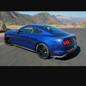 Meet your Posher, Poliphony